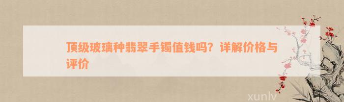 顶级玻璃种翡翠手镯值钱吗？详解价格与评价