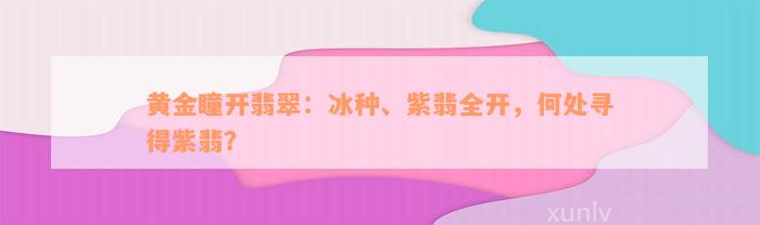 黄金瞳开翡翠：冰种、紫翡全开，何处寻得紫翡？