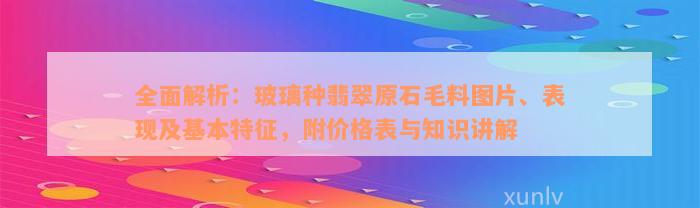 全面解析：玻璃种翡翠原石毛料图片、表现及基本特征，附价格表与知识讲解