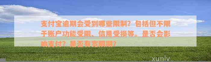 支付宝逾期会受到哪些限制？包括但不限于账户功能受限、信用受损等。是否会影响支付？是否有宽限期？