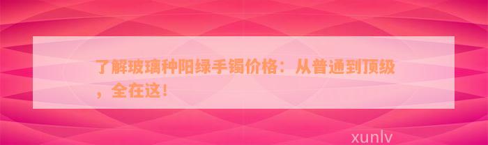 了解玻璃种阳绿手镯价格：从普通到顶级，全在这！