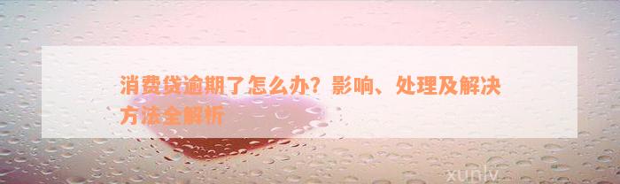 消费贷逾期了怎么办？影响、处理及解决方法全解析