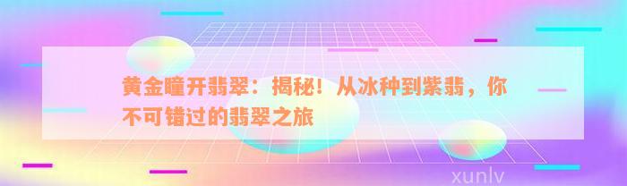 黄金瞳开翡翠：揭秘！从冰种到紫翡，你不可错过的翡翠之旅