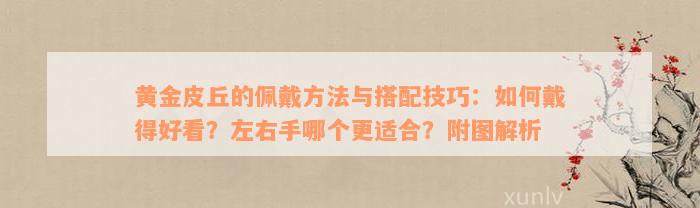 黄金皮丘的佩戴方法与搭配技巧：如何戴得好看？左右手哪个更适合？附图解析