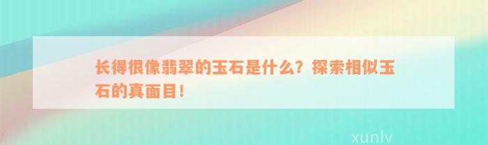 长得很像翡翠的玉石是什么？探索相似玉石的真面目！