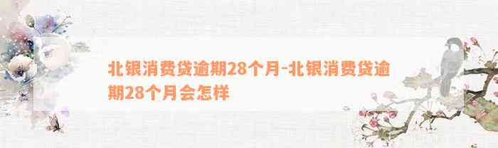 北银消费贷逾期28个月-北银消费贷逾期28个月会怎样