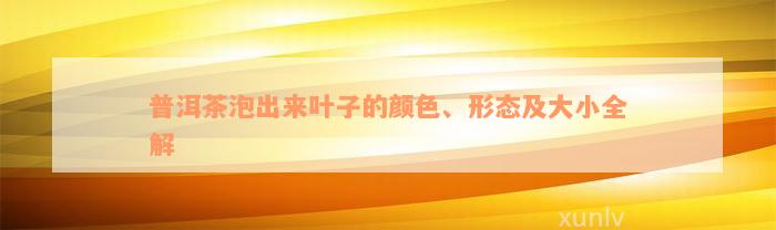 普洱茶泡出来叶子的颜色、形态及大小全解