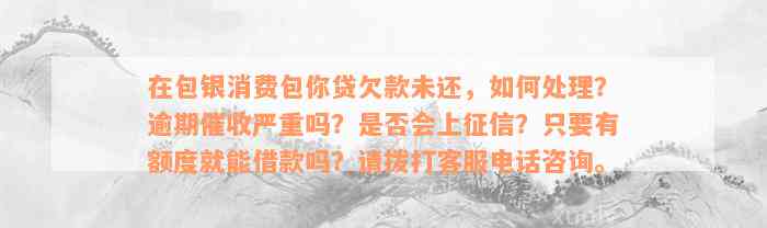 在包银消费包你贷欠款未还，如何处理？逾期催收严重吗？是否会上征信？只要有额度就能借款吗？请拨打客服电话咨询。