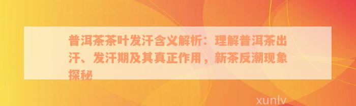 普洱茶茶叶发汗含义解析：理解普洱茶出汗、发汗期及其真正作用，新茶反潮现象探秘