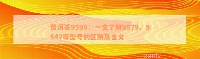 普洱茶9599：一文了解9579、9542等型号的区别及含义