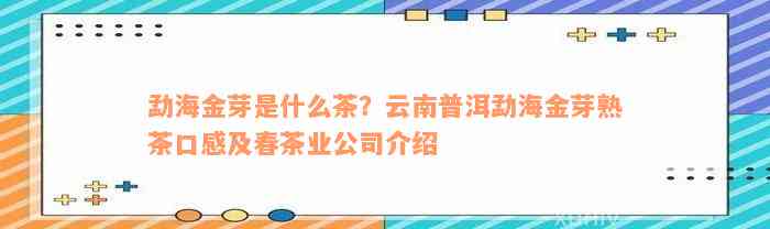 勐海金芽是什么茶？云南普洱勐海金芽熟茶口感及春茶业公司介绍