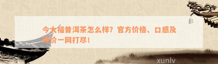 今大福普洱茶怎么样？官方价格、口感及评价一网打尽！