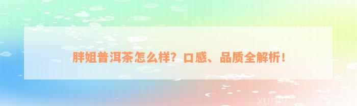 胖姐普洱茶怎么样？口感、品质全解析！