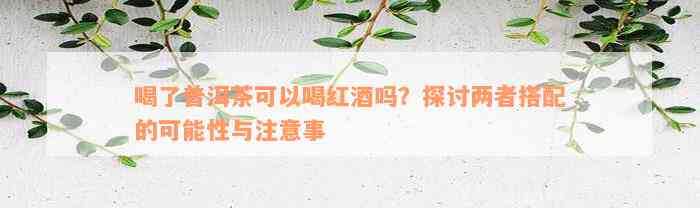 喝了普洱茶可以喝红酒吗？探讨两者搭配的可能性与注意事