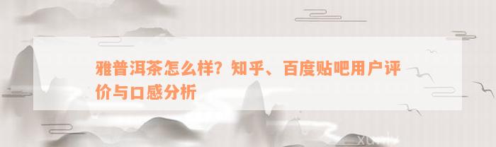 雅普洱茶怎么样？知乎、百度贴吧用户评价与口感分析