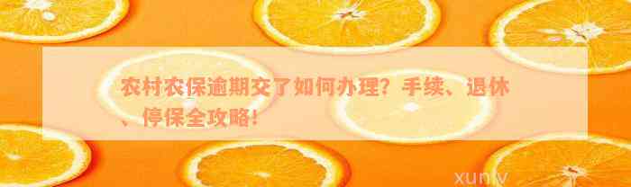 农村农保逾期交了如何办理？手续、退休、停保全攻略！