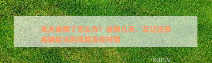 光大逾期了怎么办？逾期几天、忘记还款或被起诉的风险及应对措