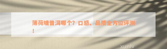 薄荷塘普洱哪个？口感、品质全方位评测！