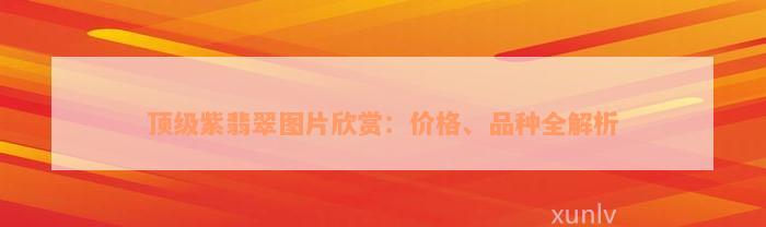 顶级紫翡翠图片欣赏：价格、品种全解析