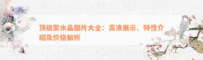 顶级紫水晶图片大全：高清展示、特性介绍及价格解析