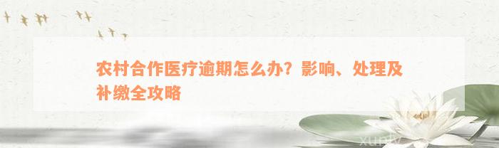 农村合作医疗逾期怎么办？影响、处理及补缴全攻略