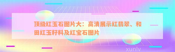 顶级红玉石图片大：高清展示红翡翠、和田红玉籽料及红宝石图片