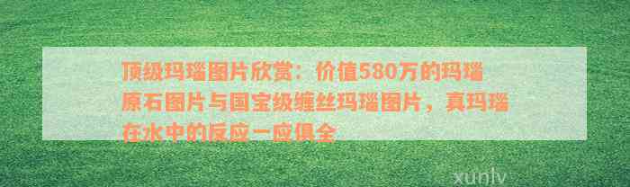 顶级玛瑙图片欣赏：价值580万的玛瑙原石图片与国宝级缠丝玛瑙图片，真玛瑙在水中的反应一应俱全