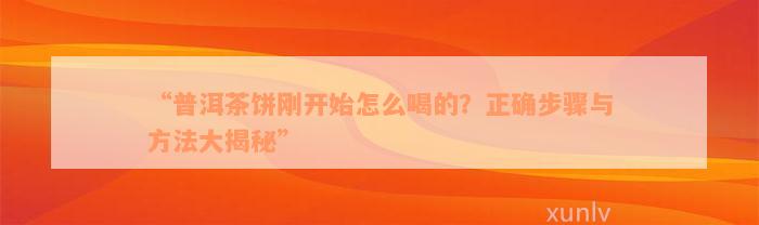 “普洱茶饼刚开始怎么喝的？正确步骤与方法大揭秘”