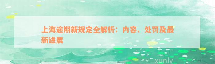 上海逾期新规定全解析：内容、处罚及最新进展