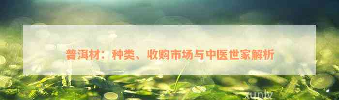 普洱材：种类、收购市场与中医世家解析