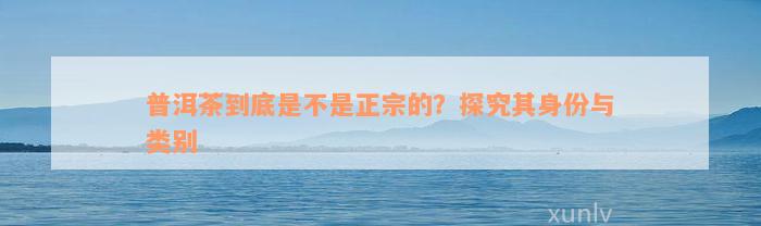 普洱茶到底是不是正宗的？探究其身份与类别