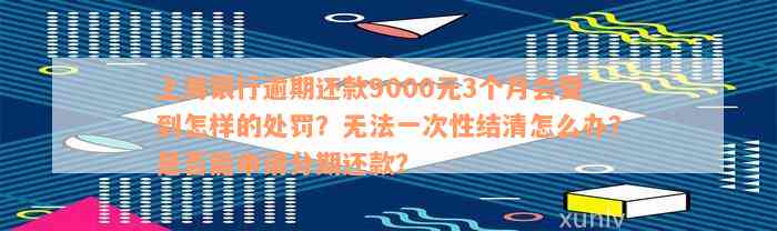 上海银行逾期还款9000元3个月会受到怎样的处罚？无法一次性结清怎么办？是否能申请分期还款？