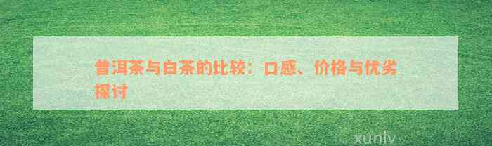 普洱茶与白茶的比较：口感、价格与优劣探讨