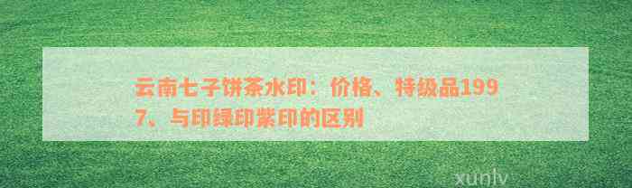 云南七子饼茶水印：价格、特级品1997、与印绿印紫印的区别