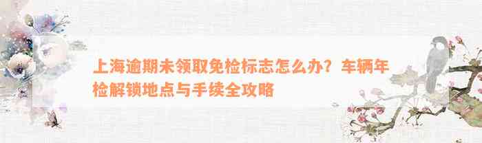 上海逾期未领取免检标志怎么办？车辆年检解锁地点与手续全攻略