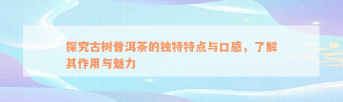 探究古树普洱茶的独特特点与口感，了解其作用与魅力