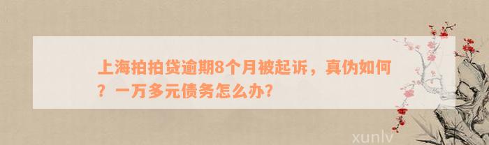 上海拍拍贷逾期8个月被起诉，真伪如何？一万多元债务怎么办？