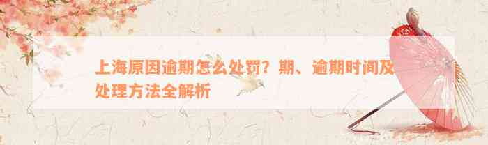 上海原因逾期怎么处罚？期、逾期时间及处理方法全解析