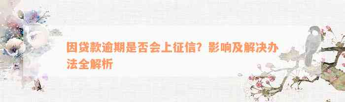 因贷款逾期是否会上征信？影响及解决办法全解析