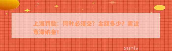 上海罚款：何时必须交？金额多少？需注意滞纳金！