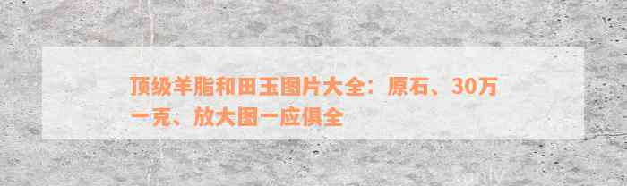 顶级羊脂和田玉图片大全：原石、30万一克、放大图一应俱全