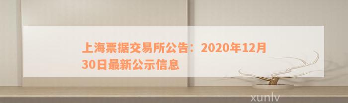 上海票据交易所公告：2020年12月30日最新公示信息