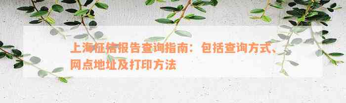 上海征信报告查询指南：包括查询方式、网点地址及打印方法