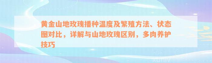 黄金山地玫瑰播种温度及繁殖方法、状态图对比，详解与山地玫瑰区别，多肉养护技巧