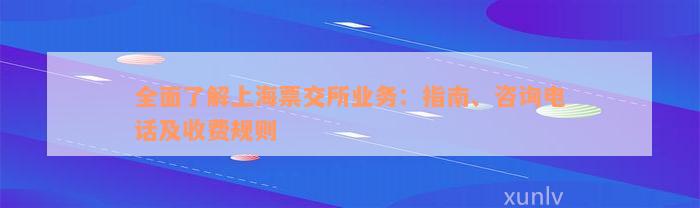 全面了解上海票交所业务：指南、咨询电话及收费规则