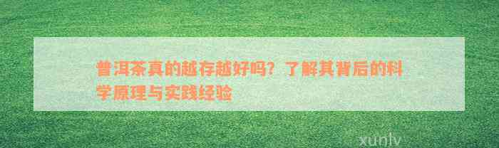 普洱茶真的越存越好吗？了解其背后的科学原理与实践经验