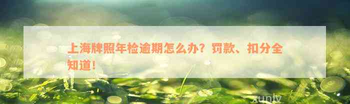 上海牌照年检逾期怎么办？罚款、扣分全知道！