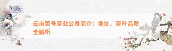 云南荣号茶业公司简介：地址、茶叶品质全解析