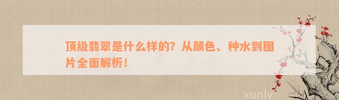 顶级翡翠是什么样的？从颜色、种水到图片全面解析！