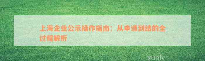 上海企业公示操作指南：从申请到结的全过程解析
